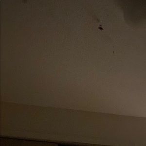 Meet your Posher, Samantha j